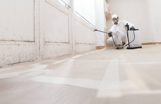 24/7 Emergency Crawl Space Mold Removal experts in Milltown, NJ