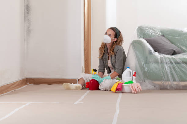 Reliable Crawl Space Mold Removal contractor in Milltown, NJ by WQB Mold Removal