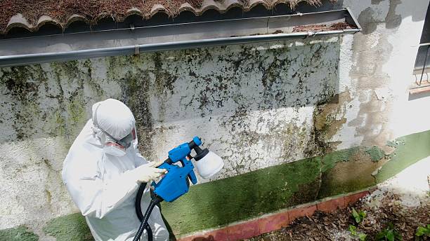 Top rated local Crawl Space Mold Removal specialists in Milltown, NJ